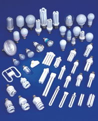 使用節能燈不會汞中毒 但須注意安全